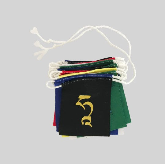 Blessed Drolmi Kazug 21 Taras Flags
